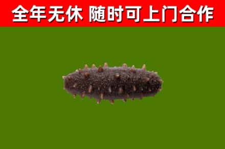 许昌市烟酒回收干海参.jpg